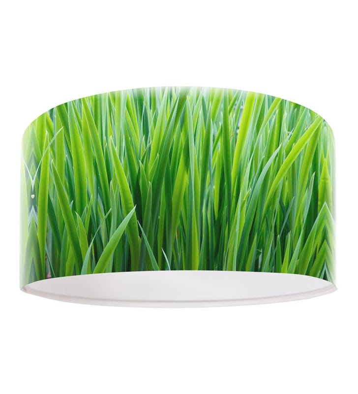 Zielona lampa wisząca Wiosenna Trawa nadruk trawy na kloszu do jadalni kuchni